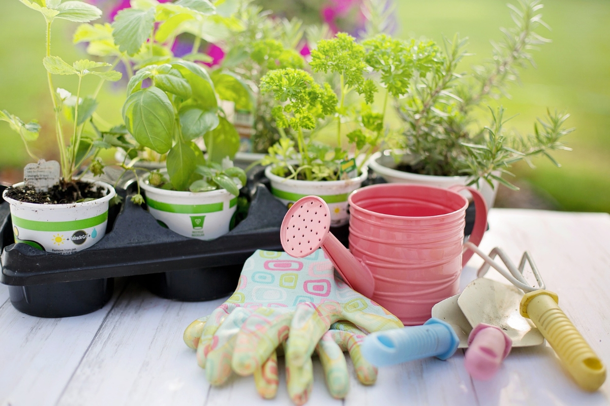 Image showcasing 7 Beautiful Tiny House Garden Ideas to Maximize Your Outdoor Space